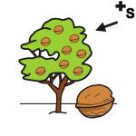 Arasaac 150-ccac6f472afdca5936d3c3442e981e94