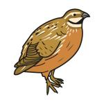 Arasaac 150-cce6b262ed95ea0cae05d517f689e696