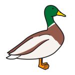 Arasaac 150-d0984d7923612d04ba92a60bd248f396