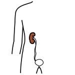 Arasaac 150-d77284551fafc0534348a4ffad04218a