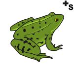 Arasaac 150-dc5c0a4335b703678393cf5dd048961d