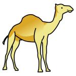 Arasaac 150-dead27fd25e0c11539a00cf55b96edf4