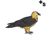 Arasaac 150-e0408854980994f2498b84496276d960