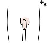 Arasaac 150-e1fa1cbd118519b4c385ecda0b271eba