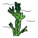 Arasaac 150-e35802dd9d769f7b151b3bac52a36c9e