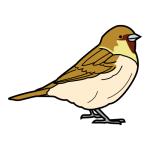 Arasaac 150-e37ca0fd4ca752d66832f0595f7bd3cf