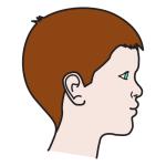 Arasaac 150-e4a3bc776a4b283d7afbc02caaff1e0c