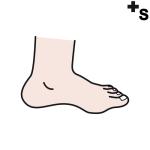 Arasaac 150-e822295c2a1dc98c4a389206f1a4d7c3