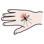 Arasaac 150-efade12a0cfb1862bb517cfc0799c50a