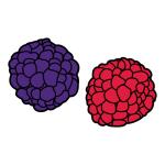 Arasaac 150-f8bd0a9cc7be31de75c6de32aaf2a889