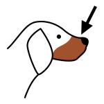 Arasaac 150-fa93ad08f024df537a7e0038f13aee10