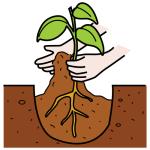 Arasaac 150-ffe43e127a263fe747bd492a0e46b0ff