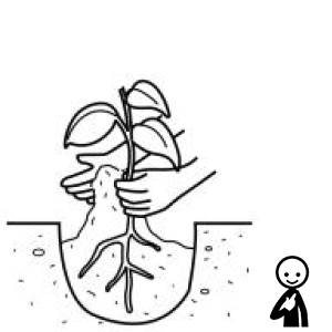 Arasaac 150-c1dcc4cd8310b6a63a2fa775580e7026