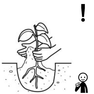 Arasaac 150-79acf02ab1474b003ddfa0fbf376bbd9