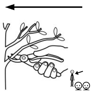 Arasaac 150-3441034d08e502d11d300b27d4e3d286