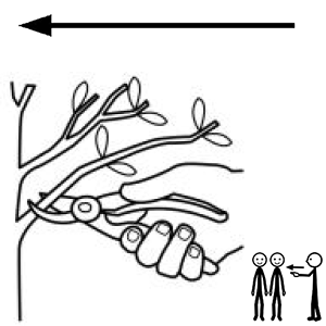 Arasaac 150-d81ed7d70acd98bed363237ee595fbad