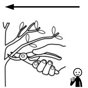 Arasaac 150-ceb6d46f80ad4235f56fefd3610ae1d6