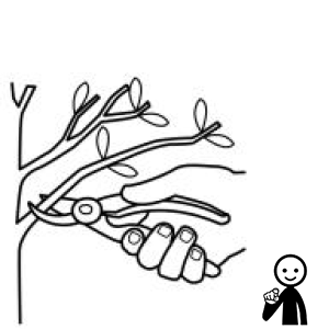 Arasaac 150-1ff983aa591d17e8c724f3cf67df5106