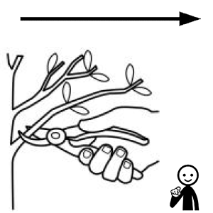 Arasaac 150-acbb9bd0b02151911bb80ca85fe991ab