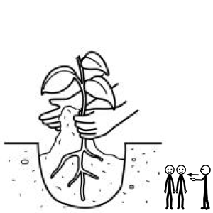 Arasaac 150-4d0f770152e0c97a7597e2e26fb1247b