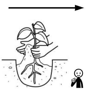 Arasaac 150-45bf7be64c3609d70107d88403aa7b31