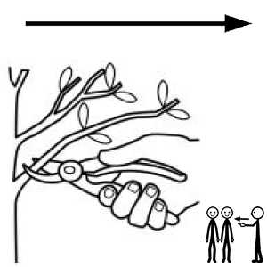 Arasaac 150-7c03d9f8e964f86d6fa5740bcd0bb18