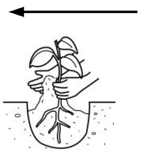 Arasaac 150-8927eb04bf92ea3fbac87679f97333f1