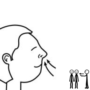 Arasaac 150-f4fd7c5e830a396ff2e1a6b5312c8ab6