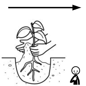 Arasaac 150-e49cf142718095c8d0b8f7103b9c7940