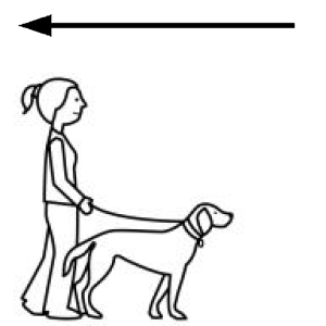 Arasaac 150-cbb9b8a029c7654089ce3bb34be8f4ef