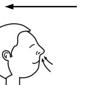 Arasaac 150-8735ec50a6831675d06c2f47f0ca9cad