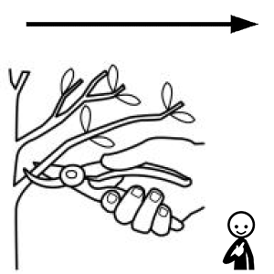 Arasaac 150-2e3ae518051f196cb3b2aa28078fedf3