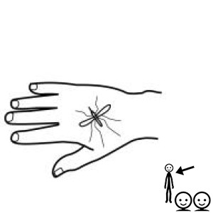 Arasaac 150-70455dfe18b6b1333efd59f2a85ae070