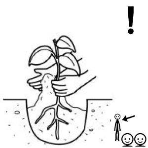 Arasaac 150-e912b1c549f65f76f66ee874b5e61a85