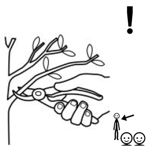 Arasaac 150-96c6b28ef71a079283d88fa878e431e