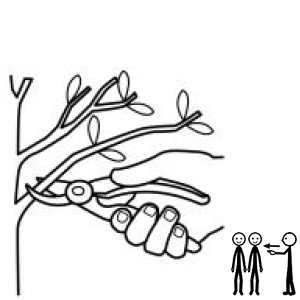 Arasaac 150-b3fe0e601afda61f76ce72ebece1f1eb