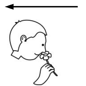 Arasaac 150-88c5f6acc1fa284b76dd3736eea29d22