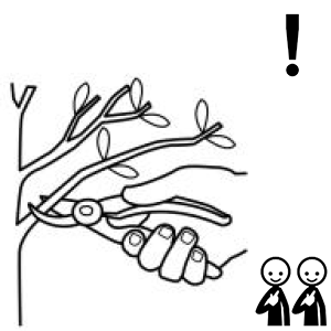 Arasaac 150-baa3c4a0cbfc3ffd94f9fb6533f017f4