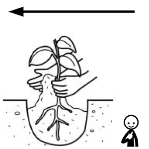 Arasaac 150-91b37f380cd0fb40fe50846ad17a709f