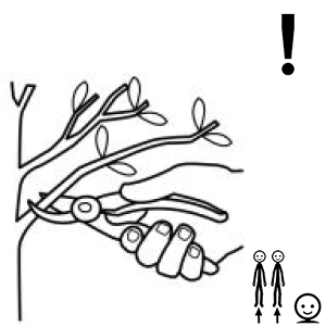 Arasaac 150-14bde142ba5fc88db24f454dfd14f00f