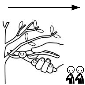 Arasaac 150-520e74873297cde9fba86682a4441f52