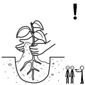 Arasaac 150-4084242eb9b3d49e9692e83653c9345c