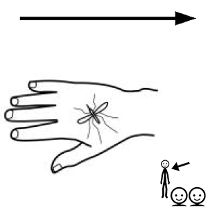 Arasaac 150-a210b0230b3d6f4fecea1c63b7de56a2