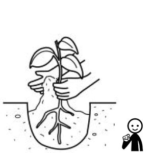 Arasaac 150-612fd9ce3dd9374302163a65a9eaf2fb