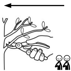 Arasaac 150-9b87062b9ba167ef56b27348f8db4a10