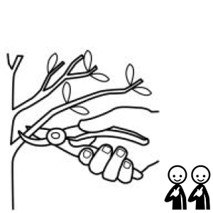 Arasaac 150-63f7fec759acc4b425312915ab678256