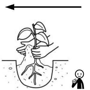 Arasaac 150-5710385e8b9ab36eaae9270780f8cde2