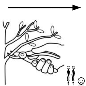 Arasaac 150-43e49d059f48fcbd7a44866b8523e8b4