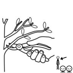 Arasaac 150-1cddf010fc549a637b0ea397472b757a