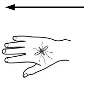 Arasaac 150-a3e8d31ed77fd8deebd2f99393981579